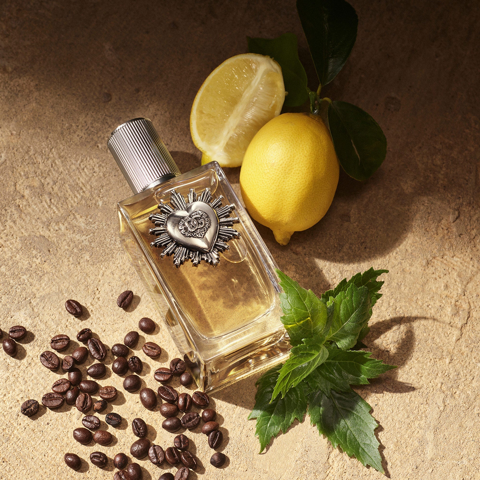 Dolce&Gabbana Devotion For Men Eau De Parfum