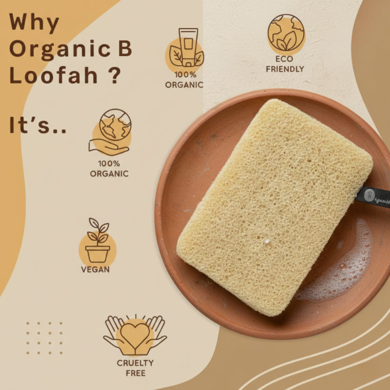 Organic B Natural & Effective Sundried Three Shaped Loofah