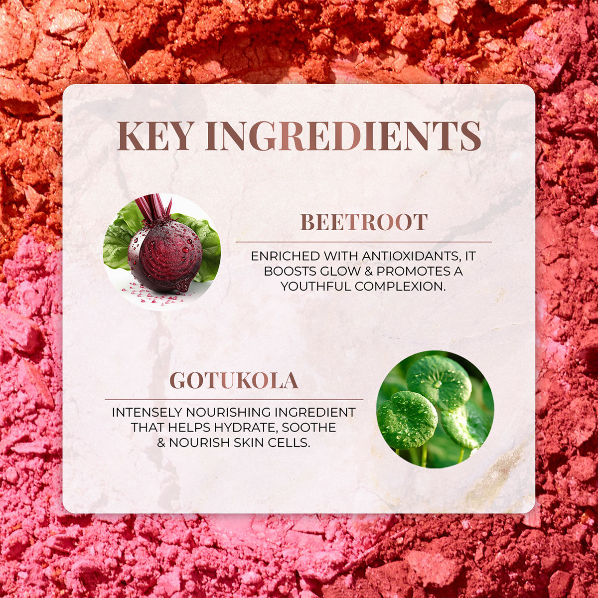 Just Herbs Nourishing Powder Blush, Velvet Rose – Skin-Loving & Smooth Blend Finish