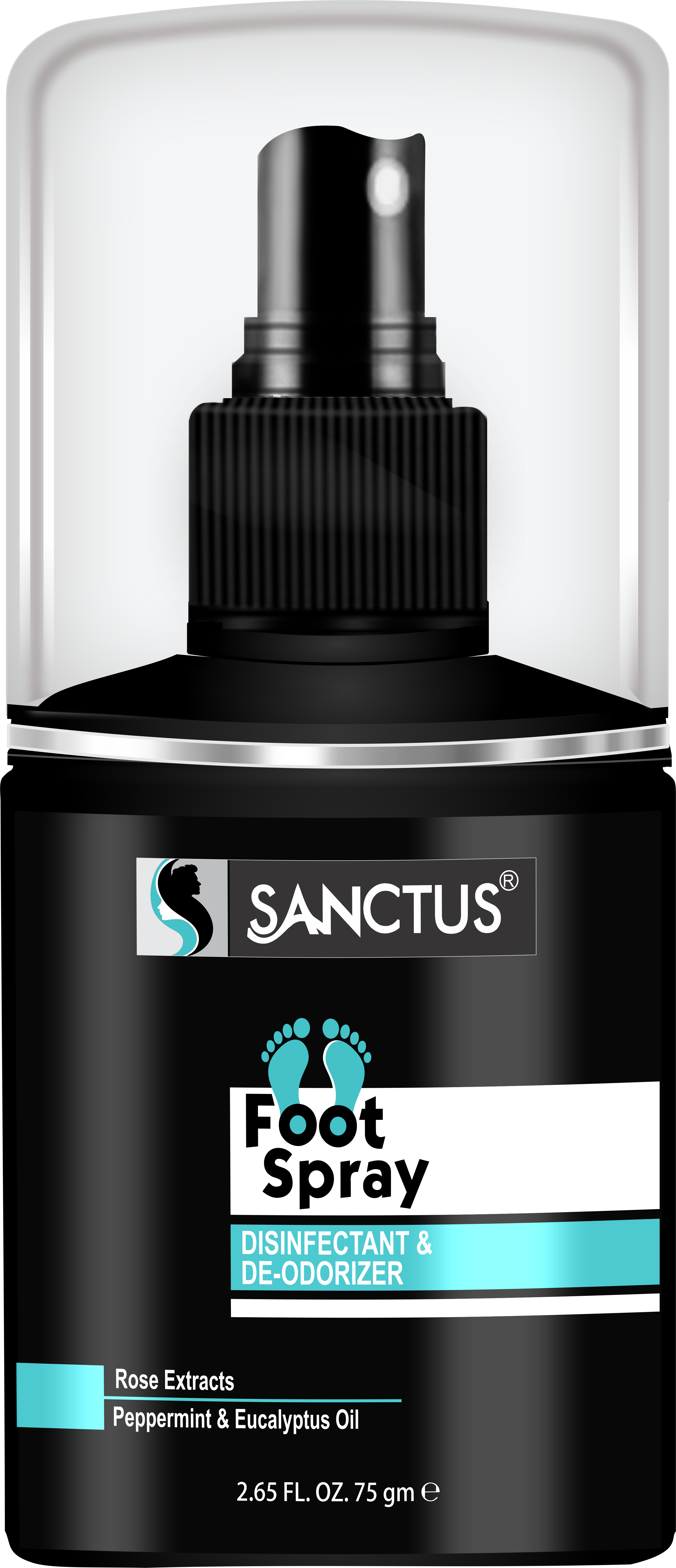 SANCTUS Disinfectant & Deodorizer Foot Spray