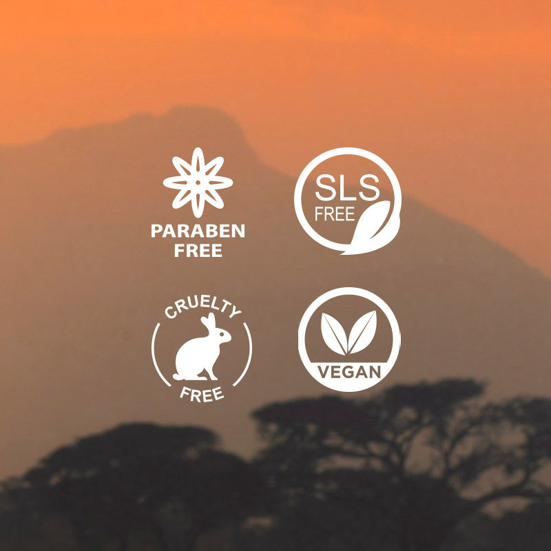 Wanderlust Ethiopian Coffee Body Butter