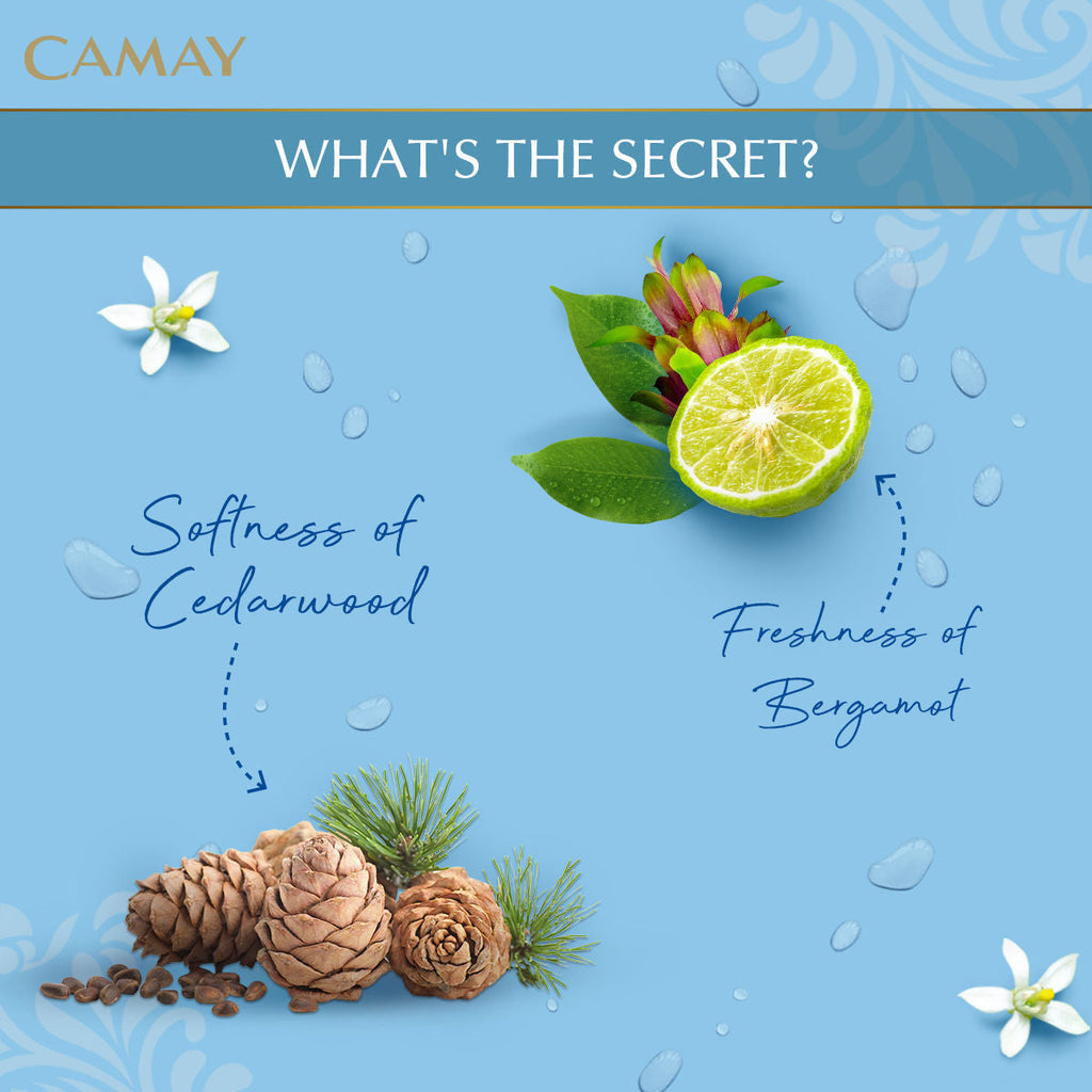 Camay Natural International Beauty Soap With Fresh Fragrance