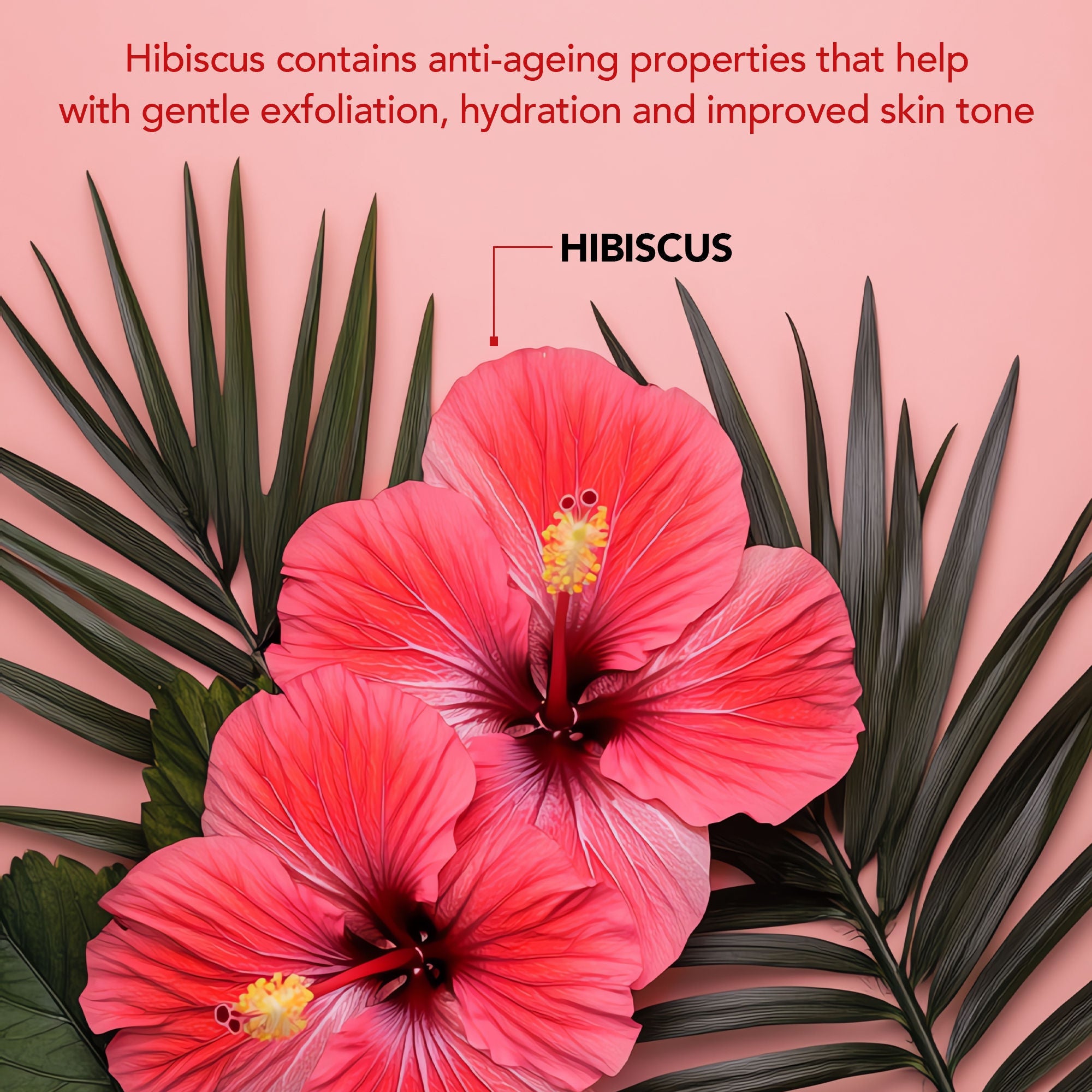 Botanic Hearth Hibiscus Body Scrub