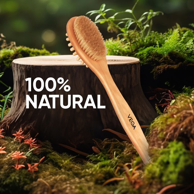 VEGA Bristle Bath Brush (NBA-1/1)