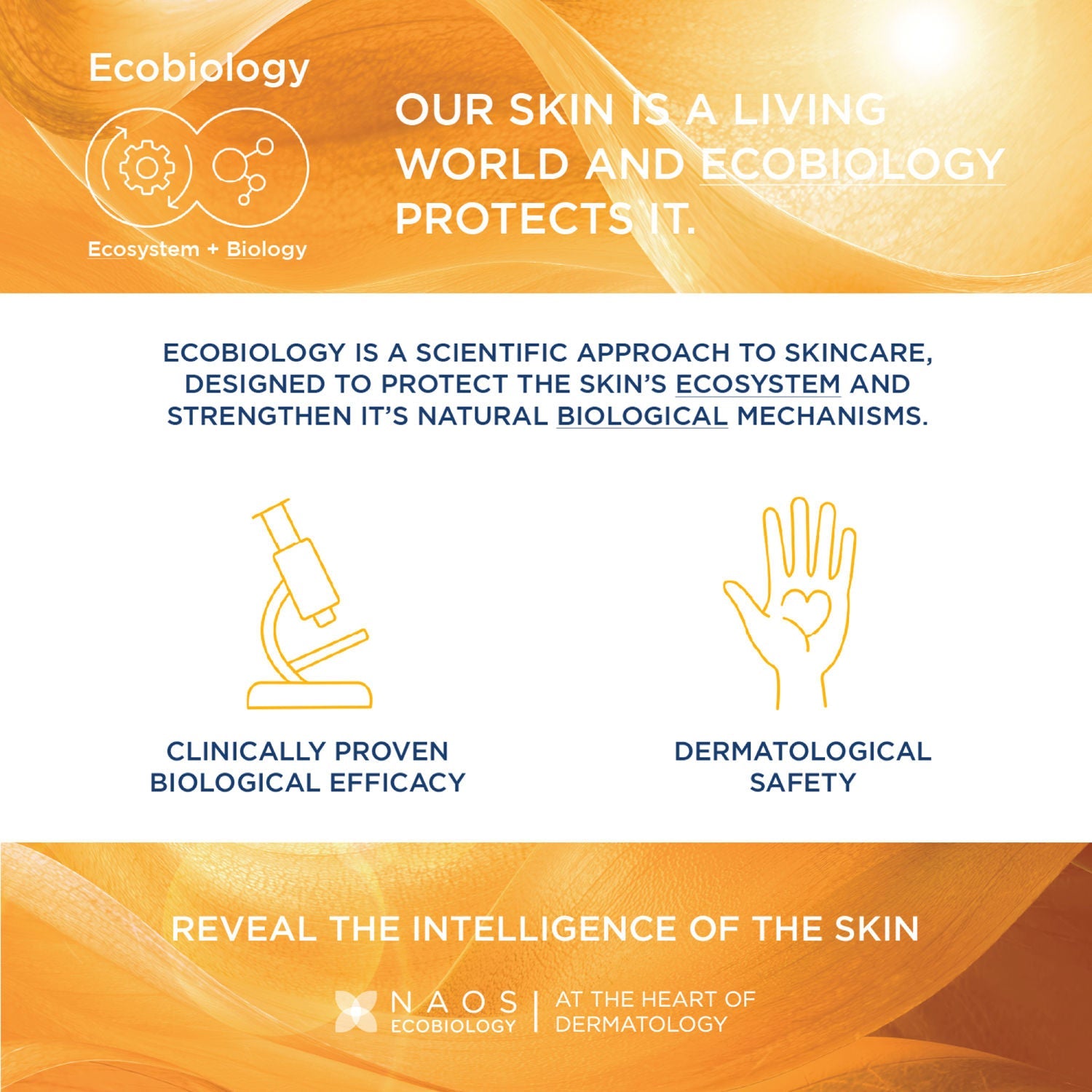 Bioderma Photoderm Aquafluide Claire SPF 50+ PA+++ Tinted Sunscreen for All Skin Types|In Vivo Tested