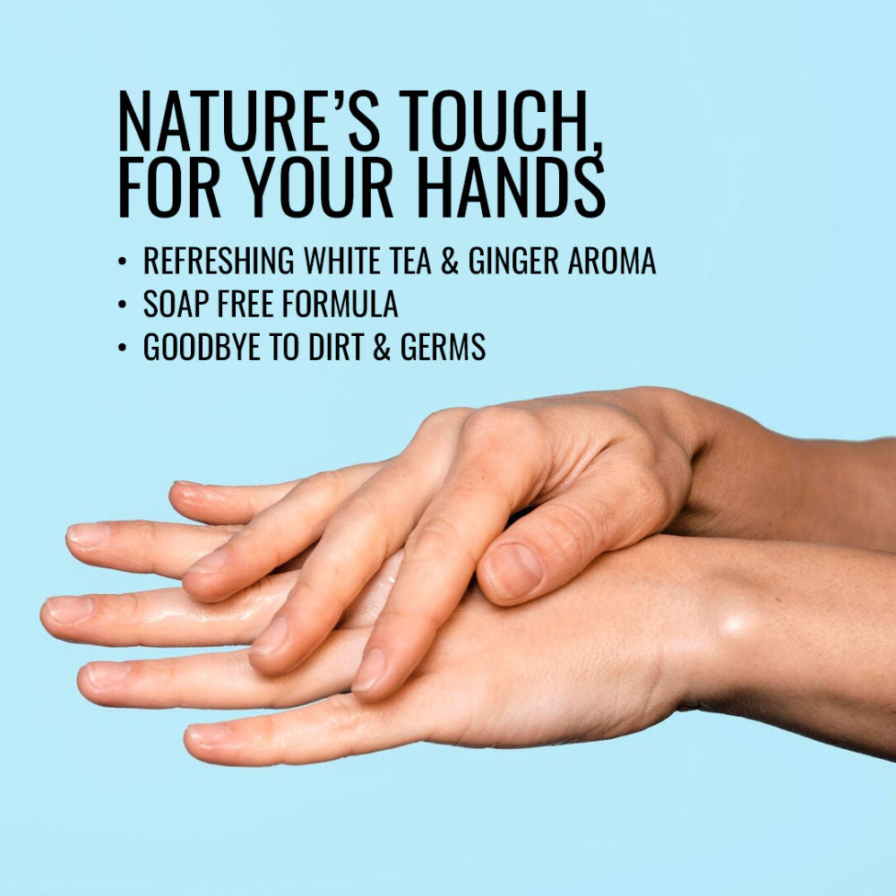 Morpheme Remedies Hand Wash With White Tea & Ginger