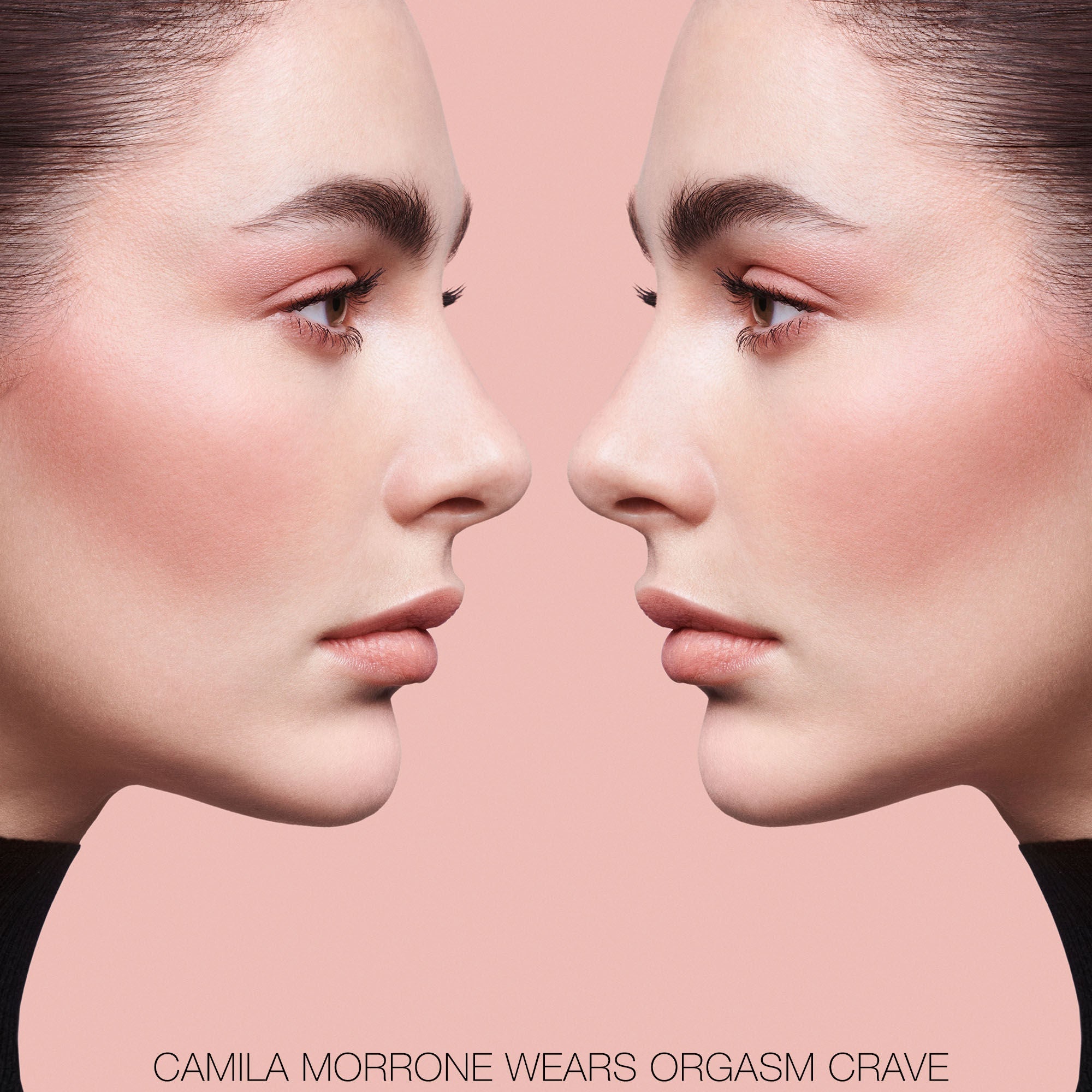 NARS The Multiple