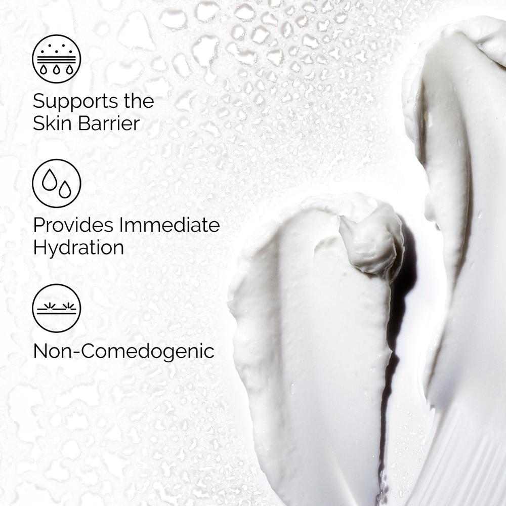 The Ordinary Natural Moisturizing Factors + HA