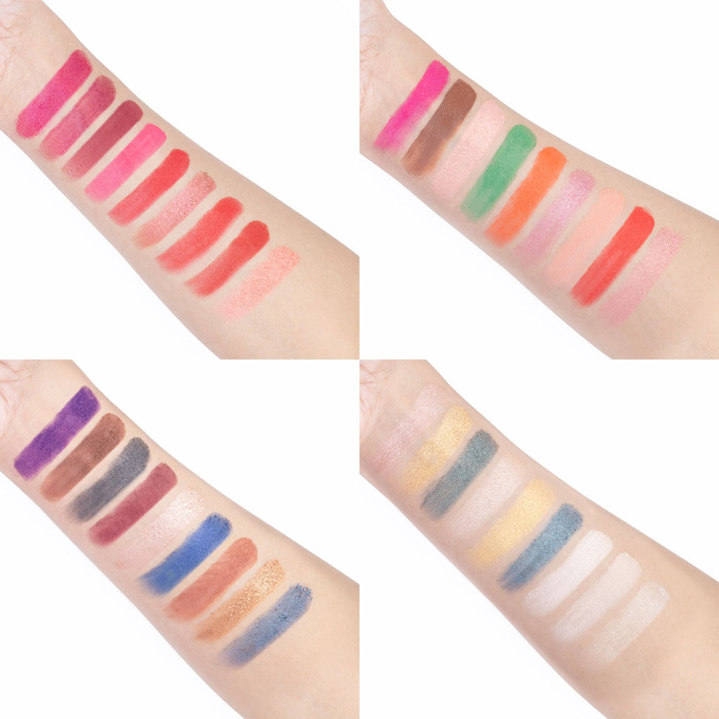 PAC The University Palette X36