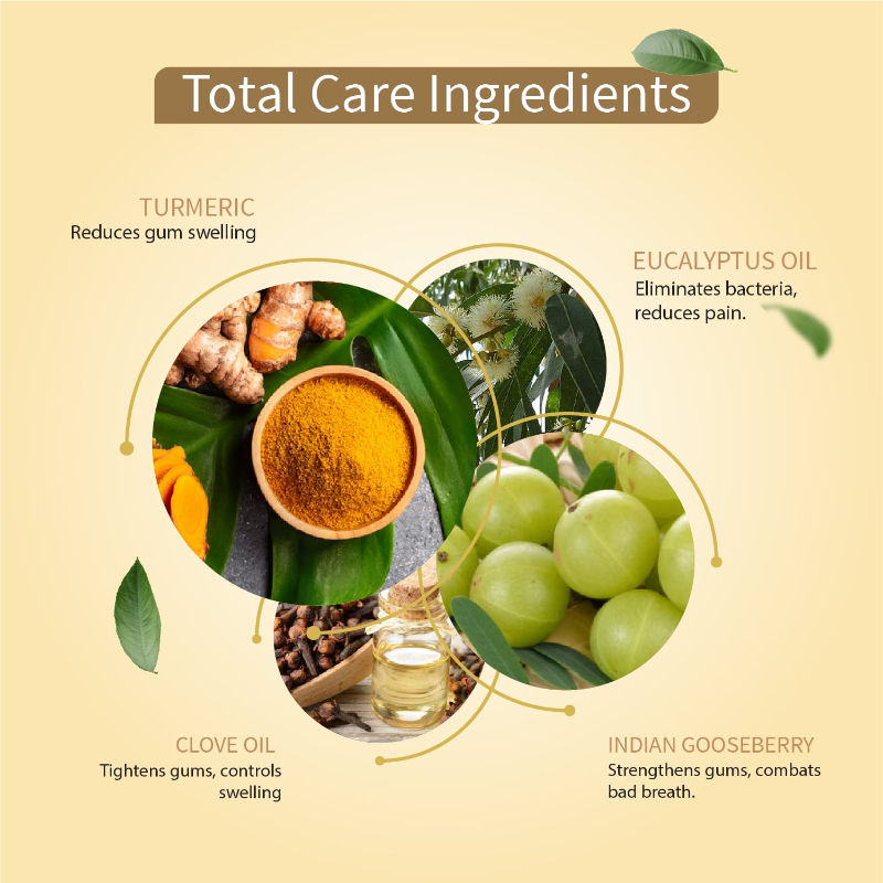 Ayouthveda Ayurvedic Total Care 360 Toothpaste with Turmeric & Eucalyptus for Oral Health