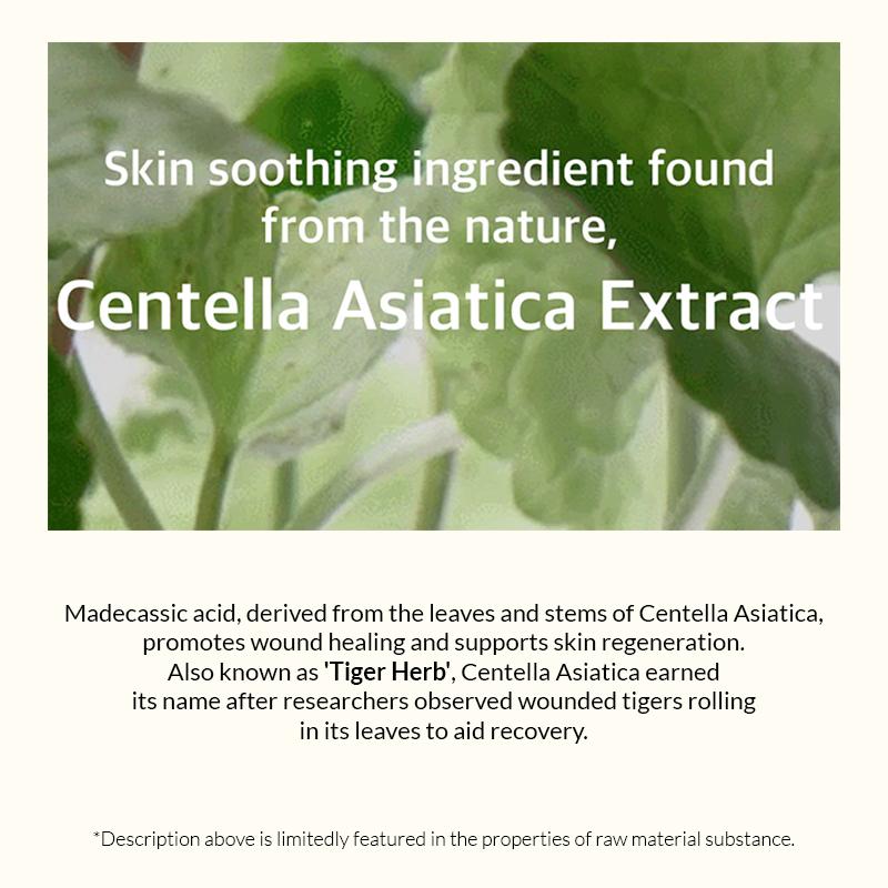 Mixsoon Soondy Centella Asiatica Essence, Calms Redness, Hydrates & Repairs Skin Barrier