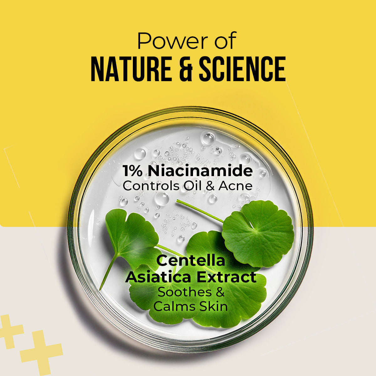 Dr. Sheth'S Centella & Niacinamide Sunscreen Spf 50 Pa+++ Protection For Oily & Acne-Prone Skin