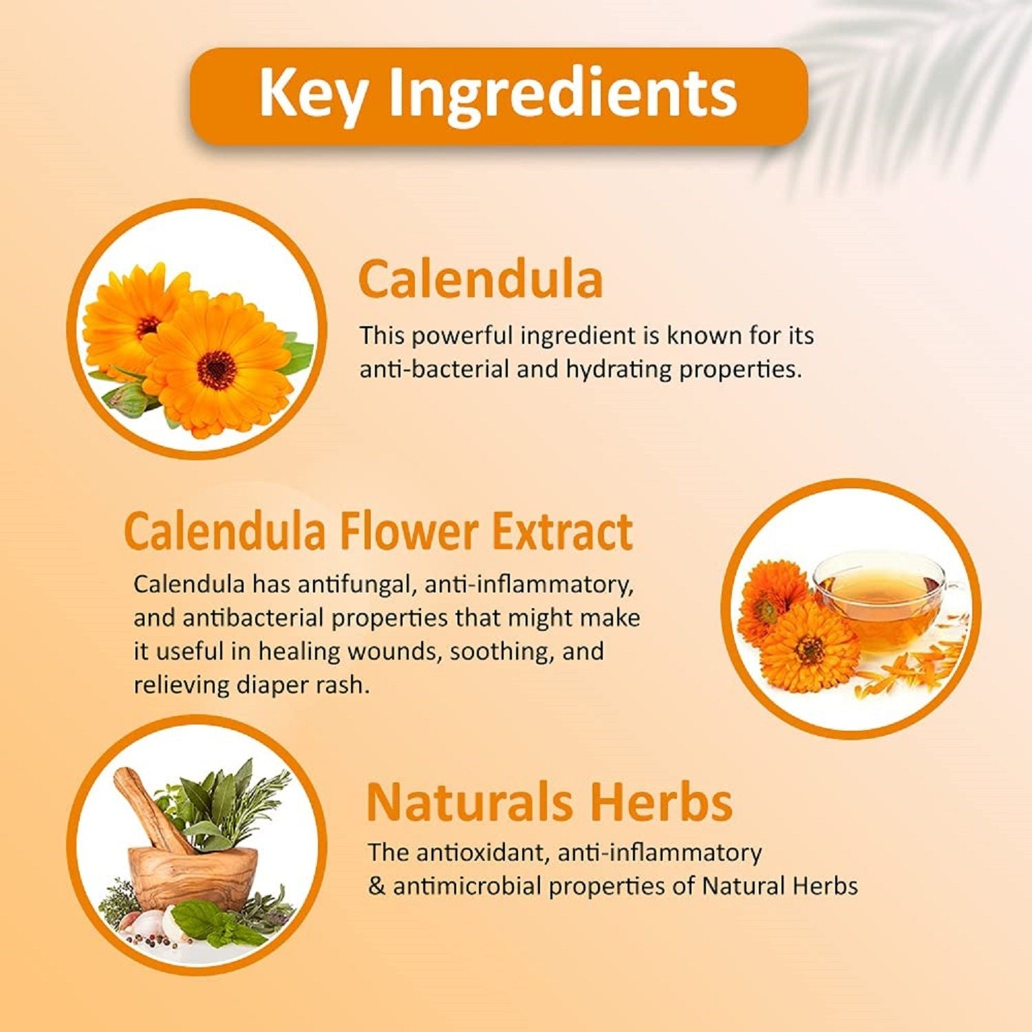 Omeo Calendula Body Wash Skin Friendly Ph, Gentle Cleansing, Soft Nourshing Body Wash