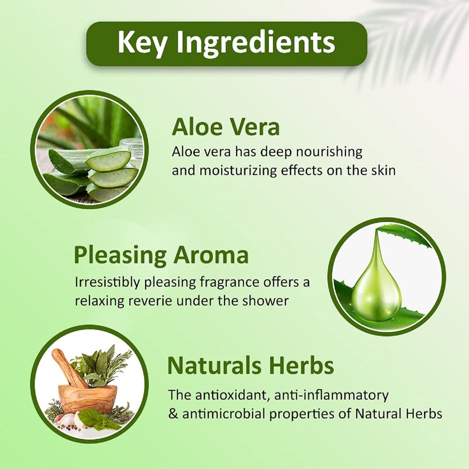 Omeo Aloe Vera Body Wash - Skin Friendly Ph, Gentle Cleansing, Soft Nourshing Body Wash