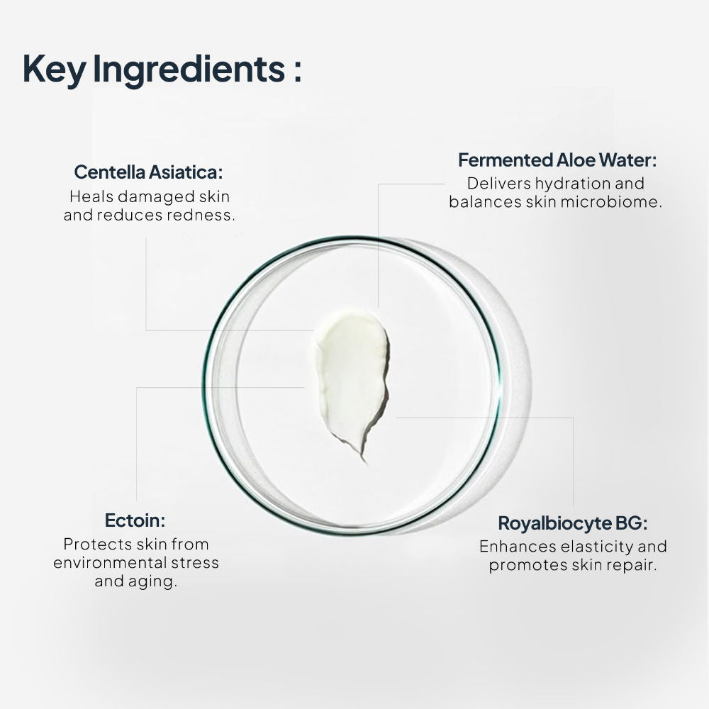 Miduty EpiRepair Night Cream with Peptides, Ceramides & Fermented Aloe For All Skin Types
