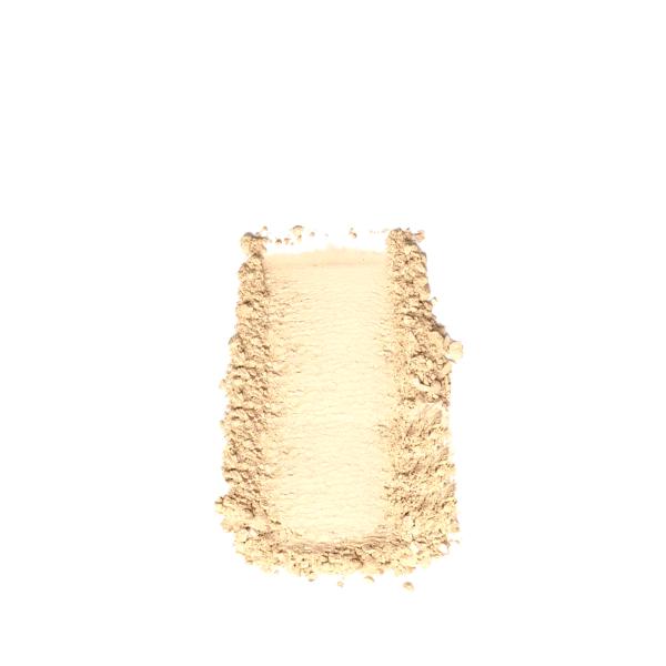 Matt look Perfect Look 2 In 1 Formula Oil Control Powder