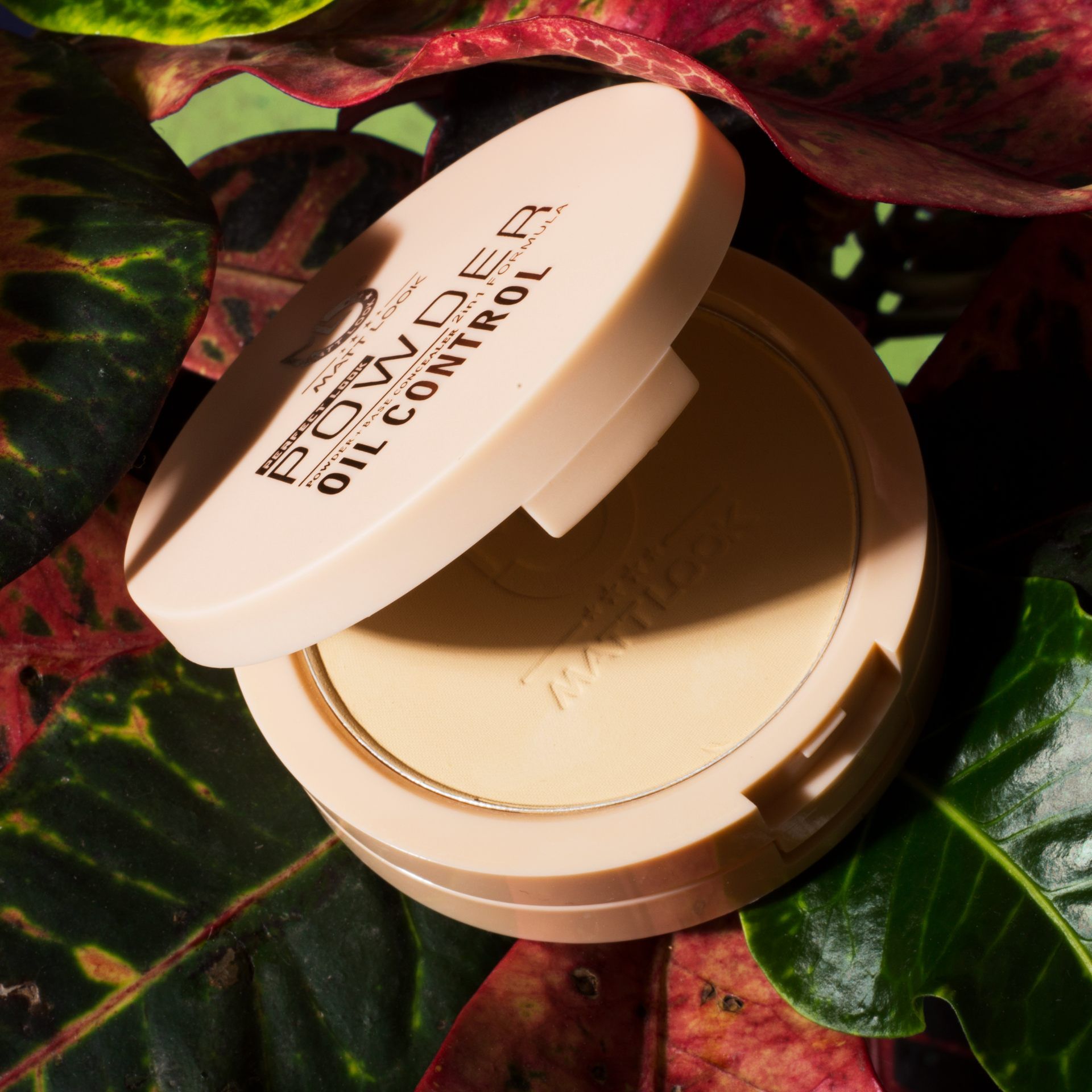 Matt look Perfect Look 2 In 1 Formula Oil Control Powder