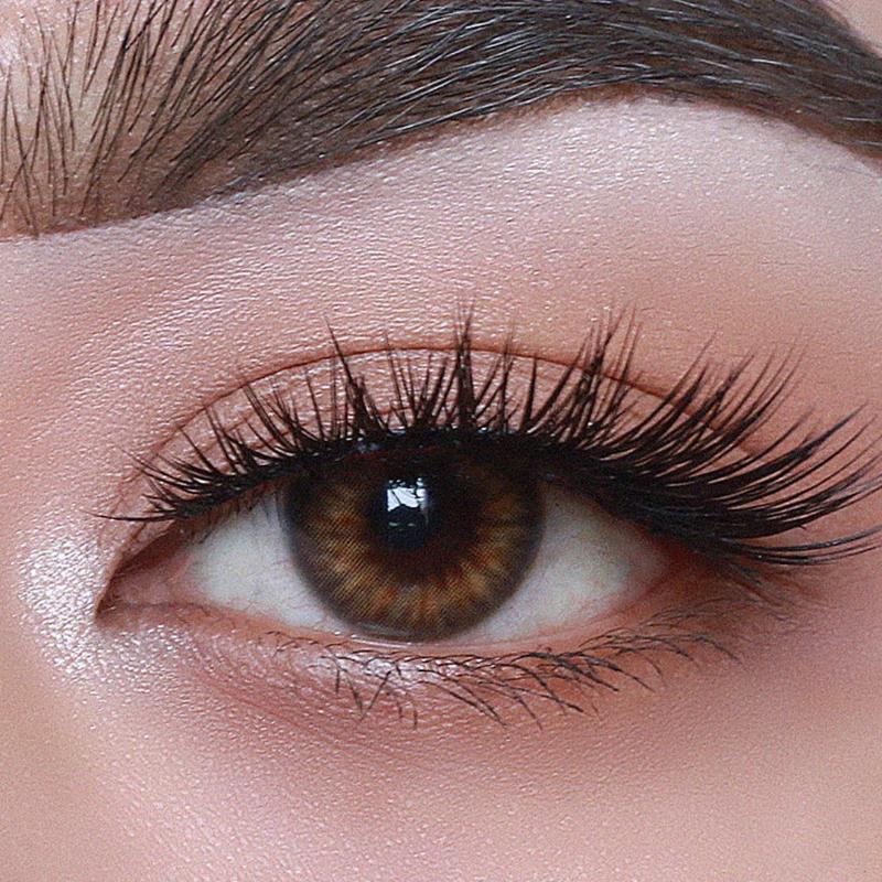 O-Lens Spanish 1Day Coloured Contact Lenses - Brown - 0.00 (5 Pairs)