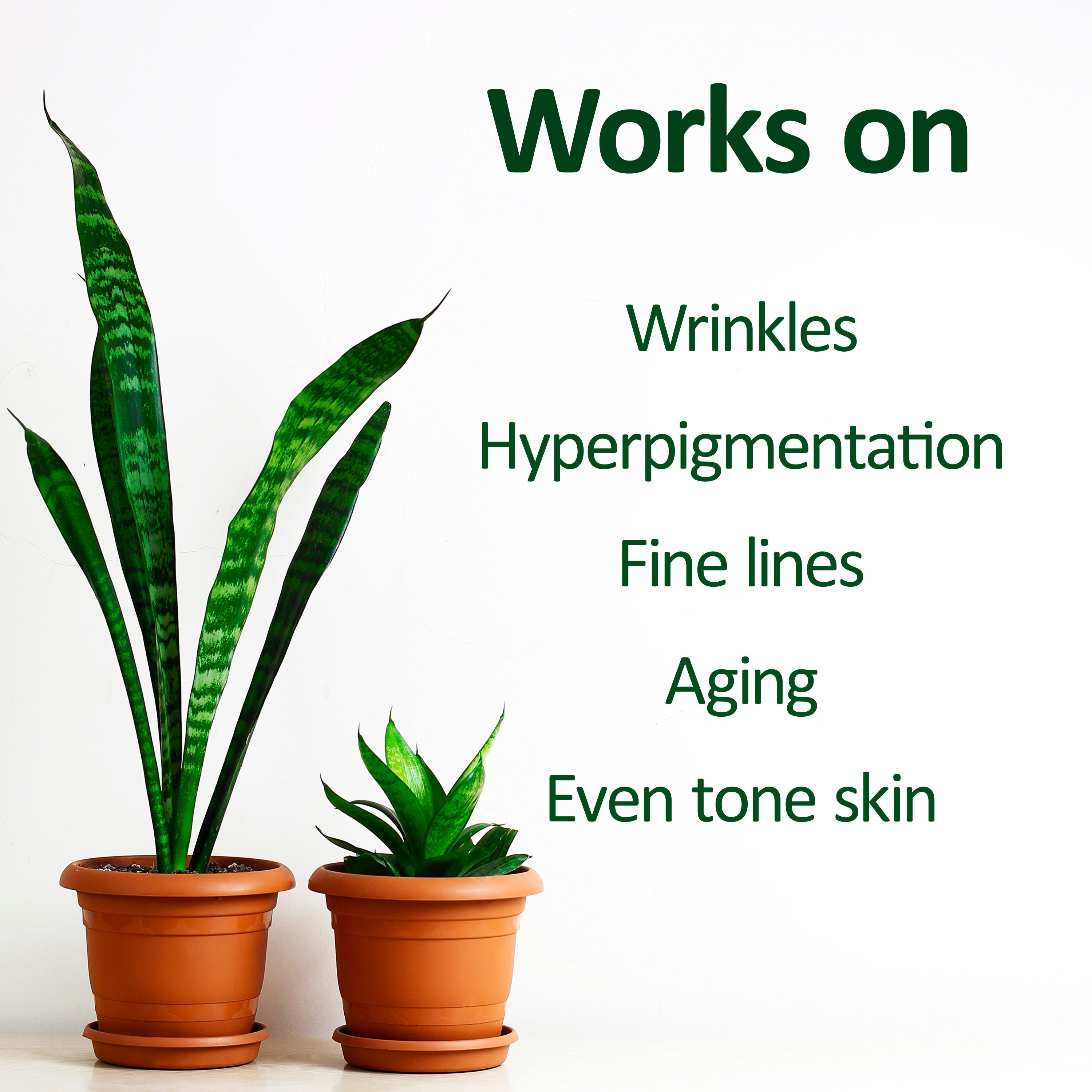 Deve Herbes Plant Based Retinol Face Serum - Anti-Aging Care, Smooth Texture, Radiant Glow