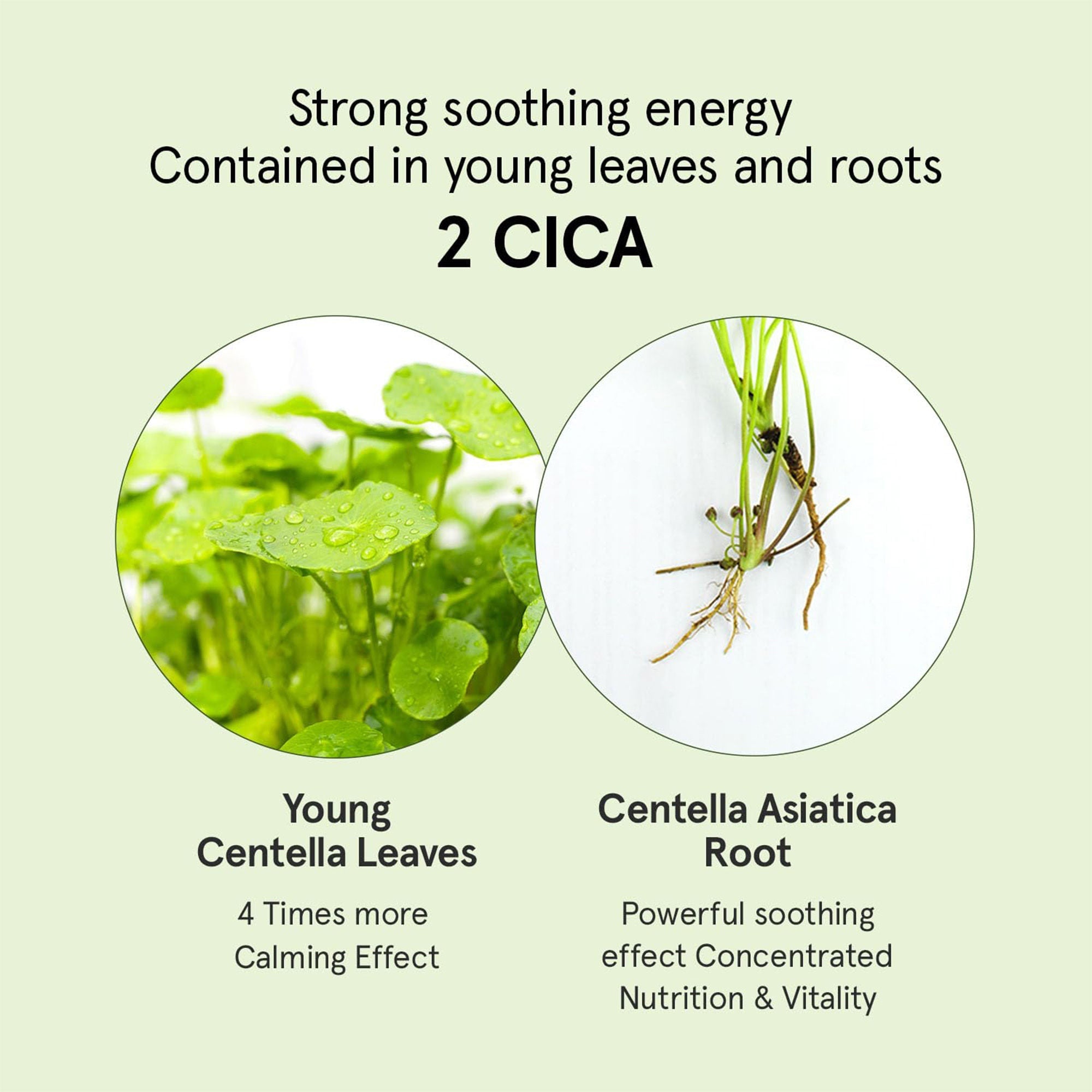 ONE THING Cica B5 Serum