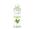 Biotique Bio Basil & Parsley Revitalizing Body Wash