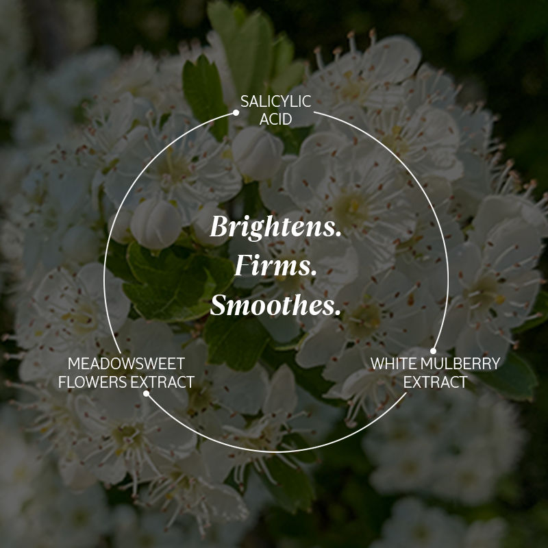 L'Occitane Reine Blanche Brightening UV Shield SPF 50