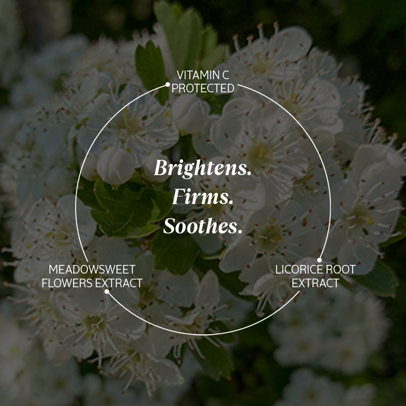 L'Occitane Reine Blanche Serum