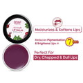 Aravi Organic Beetroot Lip Balm With Beetroots, Shea Cocoa Butter For Dry & Chapped Lips