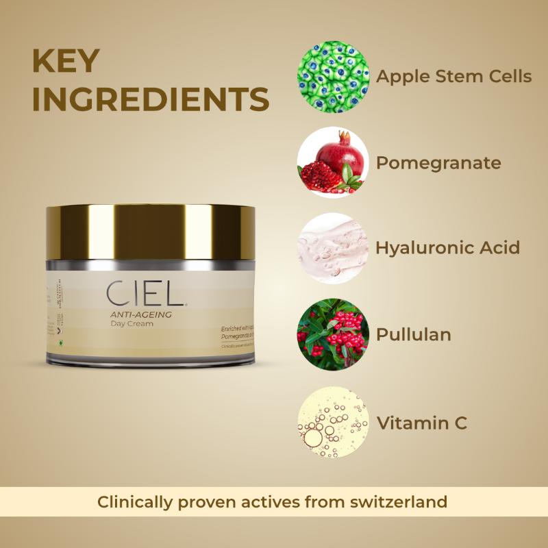 Ciel Anti Ageing Day Cream