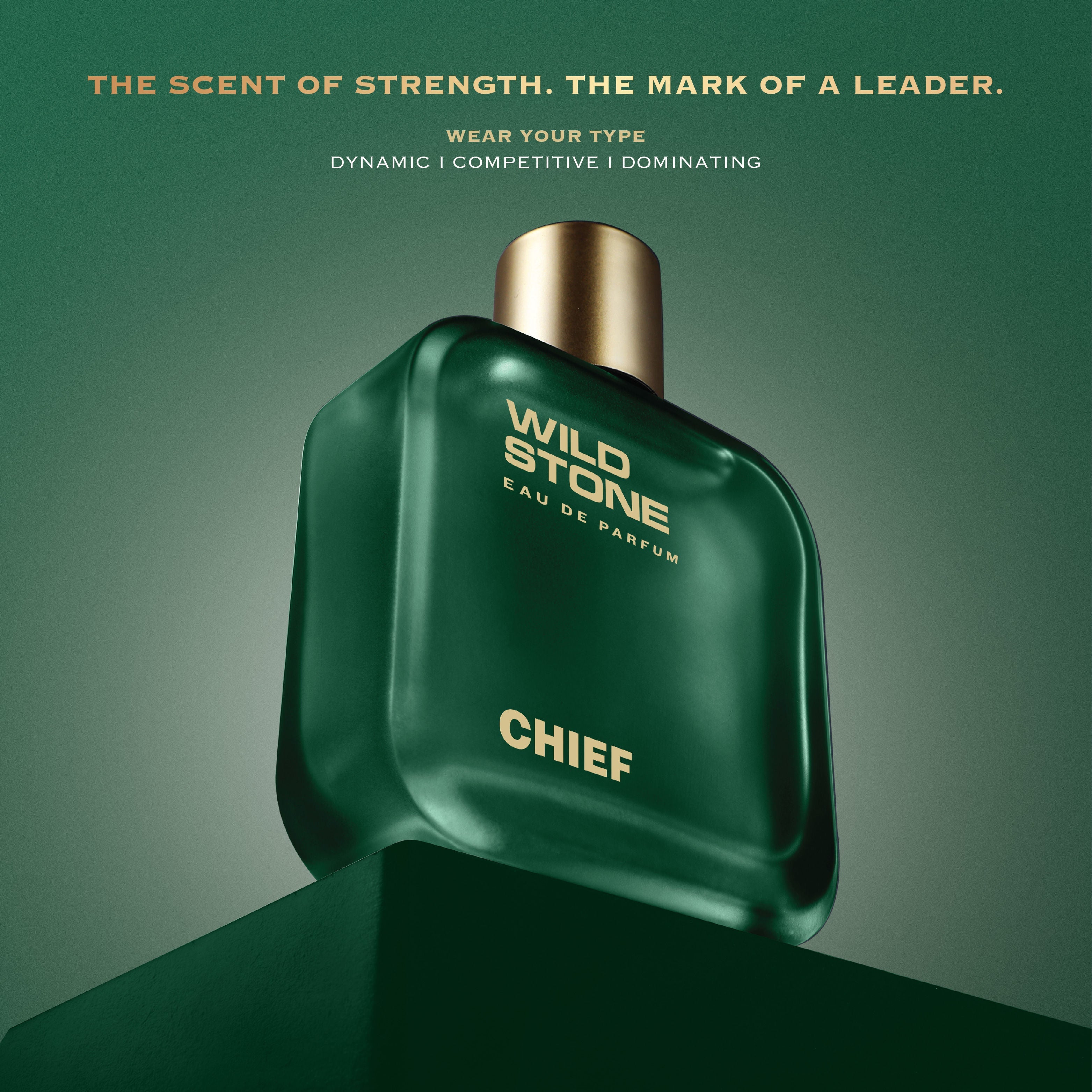 Wild Stone Chief Eau De Parfum