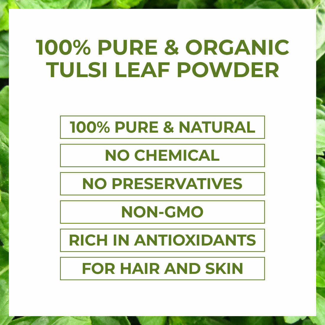 Ayusoul Ayurveda 100% Pure Natural & Organic Tulsi (Basil) Leaf Powder