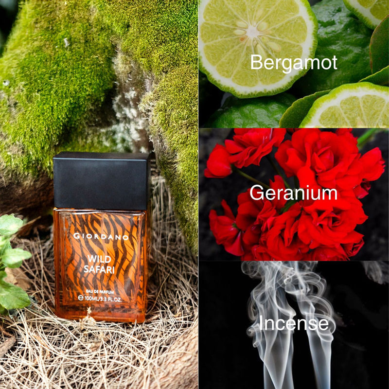 Giordano Fragrances Wild Safari Eau De Parfum