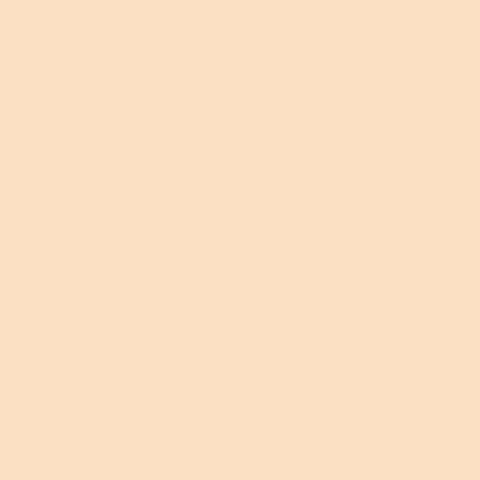 Half N Half Mineral Mousse Oil Free Foundation Light SPF 20