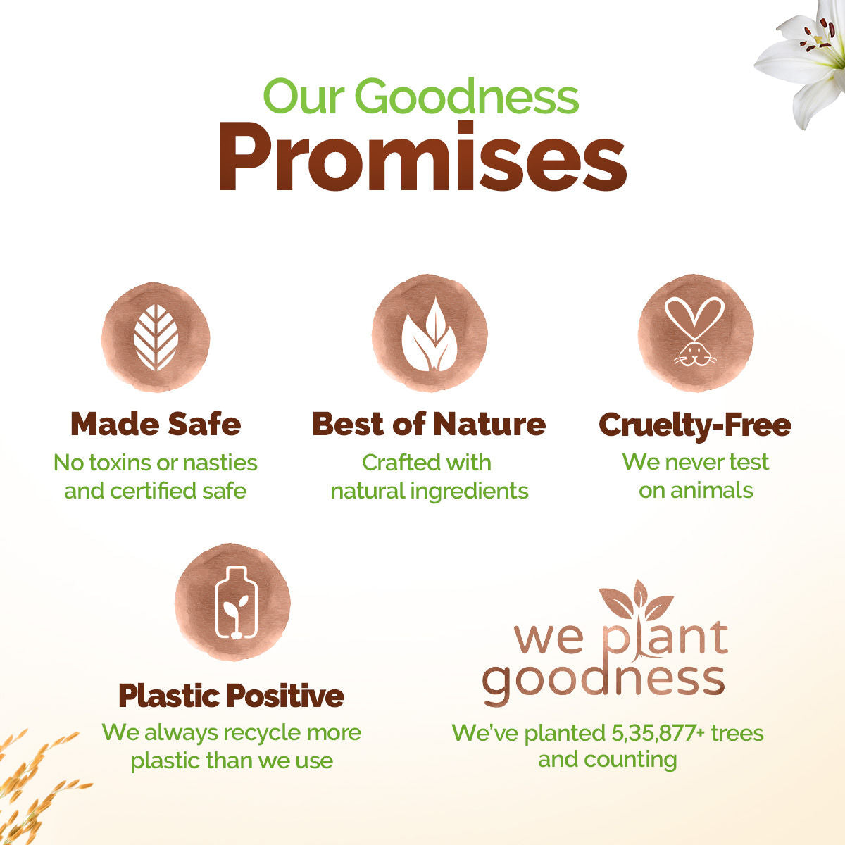 Mamaearth Rice Water Moisturizing Body Wash With Rice Water & Hydrating Lily Scent