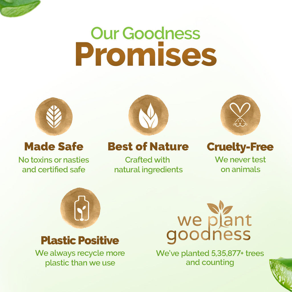 Mamaearth Aloe Vera Moisturizing Body Wash with Aloe Vera & Calming Jasmine Scent