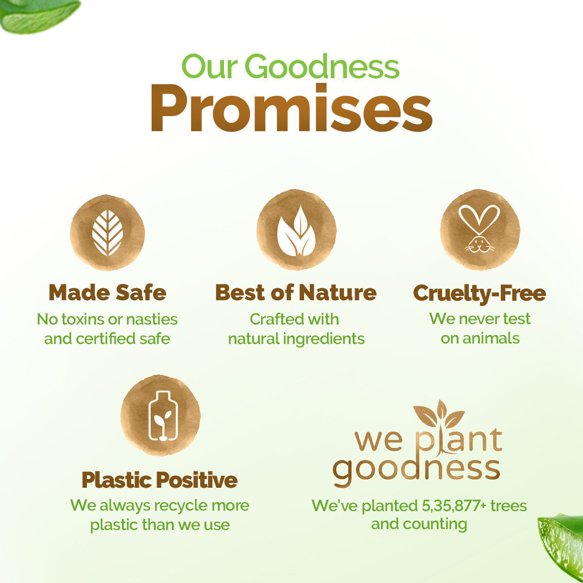 Mamaearth Aloe Vera Moisturizing Body Wash with Aloe Vera & Calming Jasmine Scent