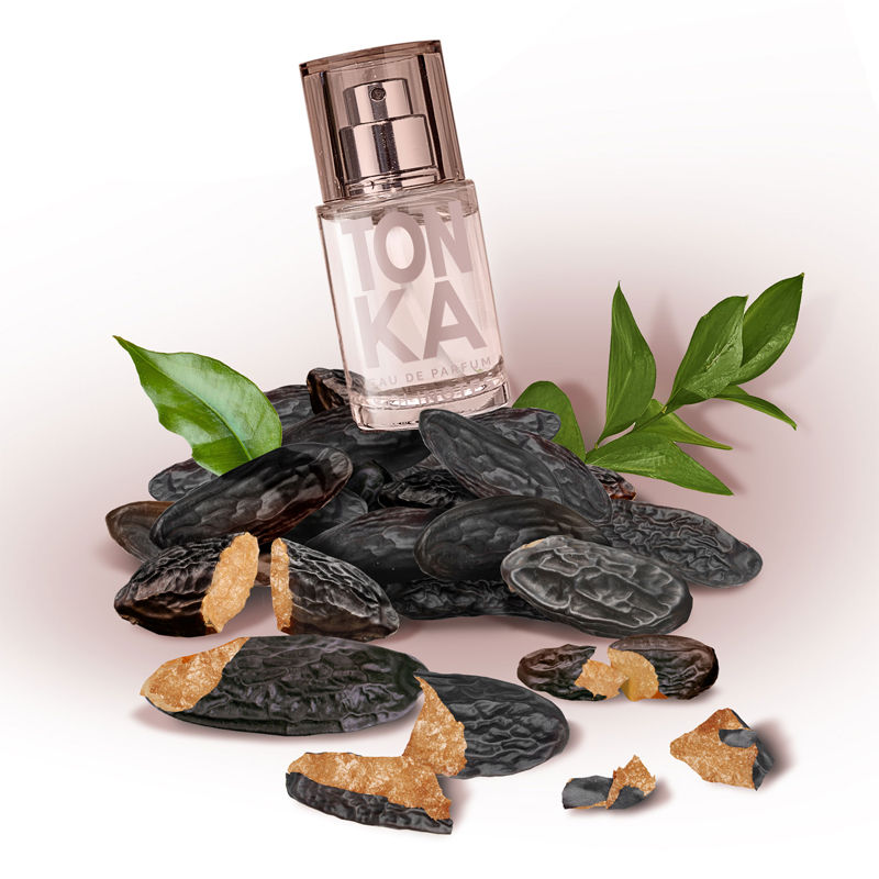 Solinotes Tonka Eau De Parfum