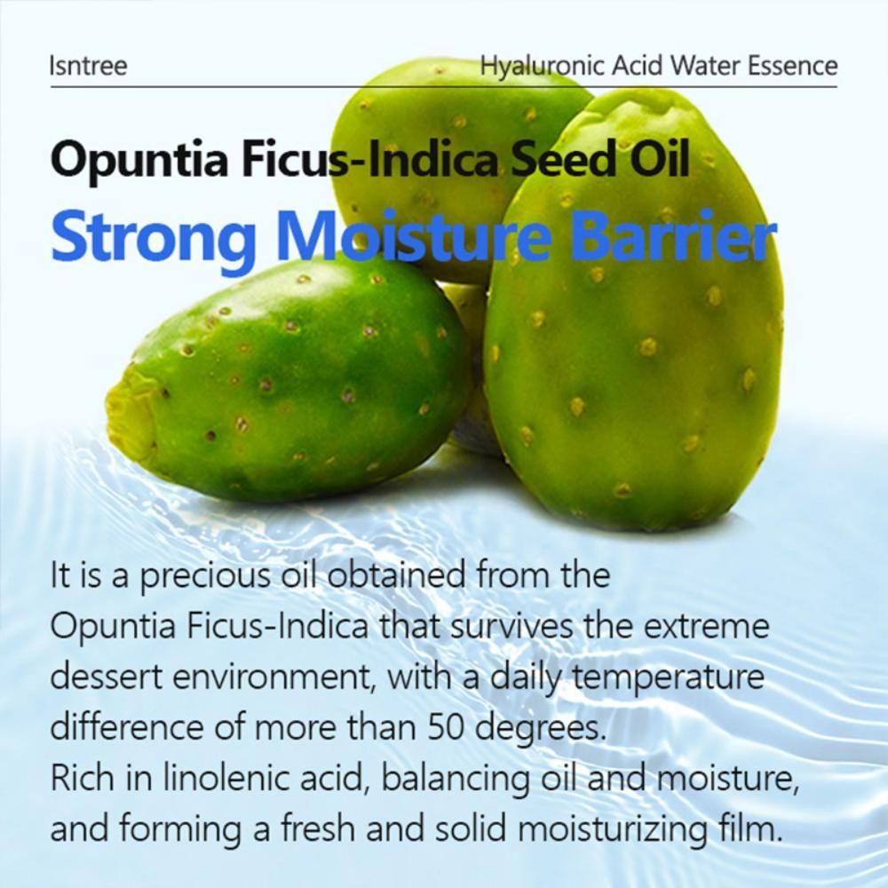 Isntree Hyaluronic Acid Water Essence