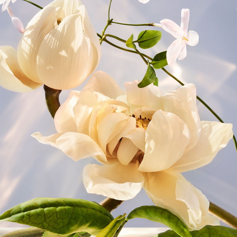 BVLGARI Omnia Crystalline Eau De Parfum