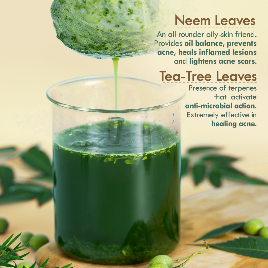 Nat Habit Active Anti Acne Neem Tea Tree Face Gel Moisturiser For Oily & Acne Prone Skin