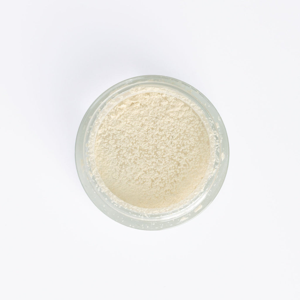PAC Translucent Powder (Mini)