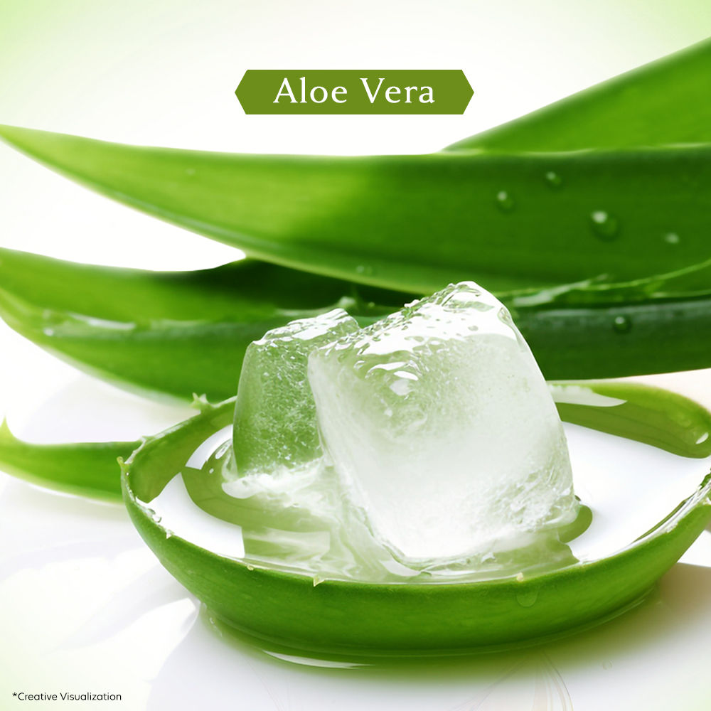 Vivel Aloe Vera Grade 1 Bathing Soap, Highest Soap Grade, 76% TFM, Vit E - 4 PCS