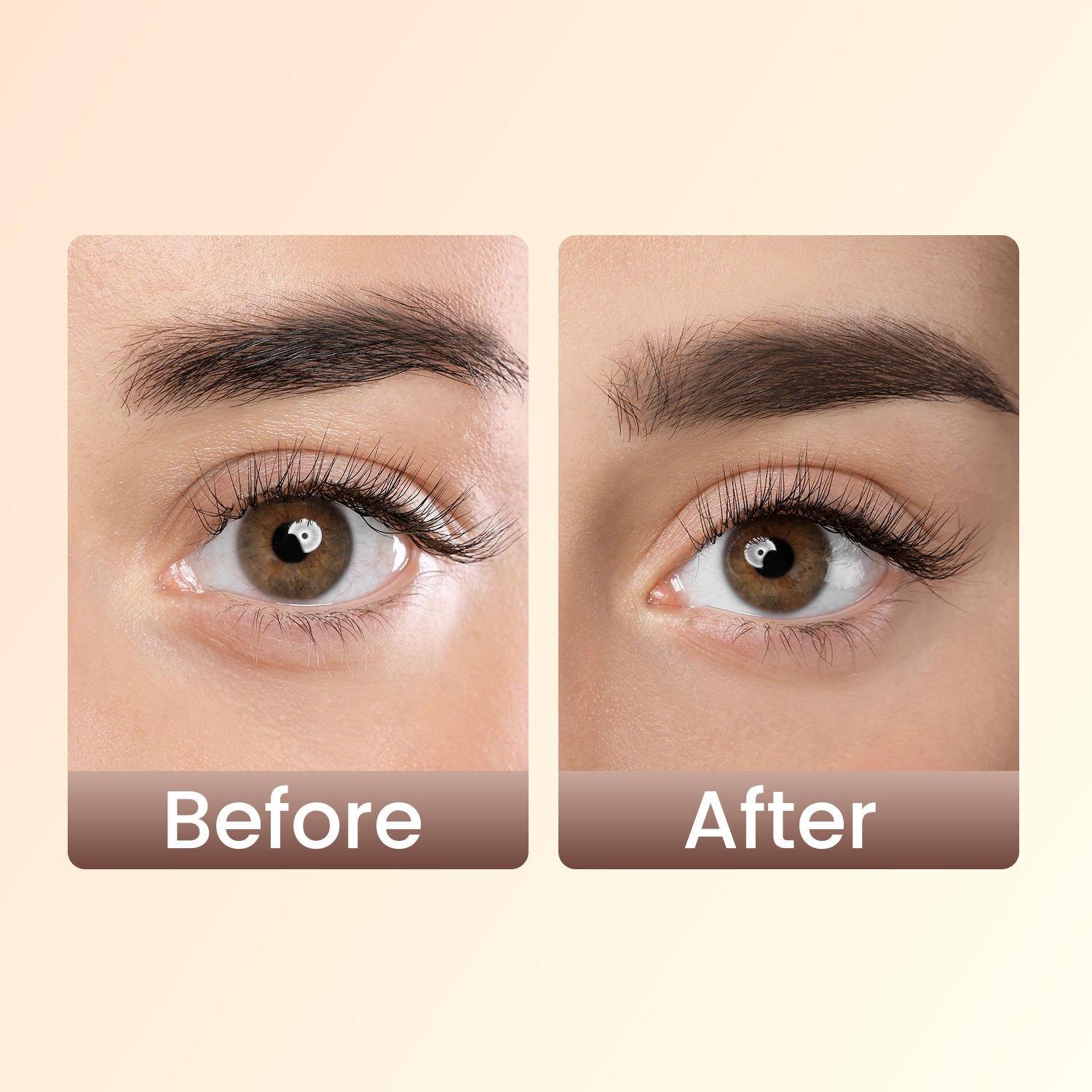 Swiss Beauty Brow Definer Pencil