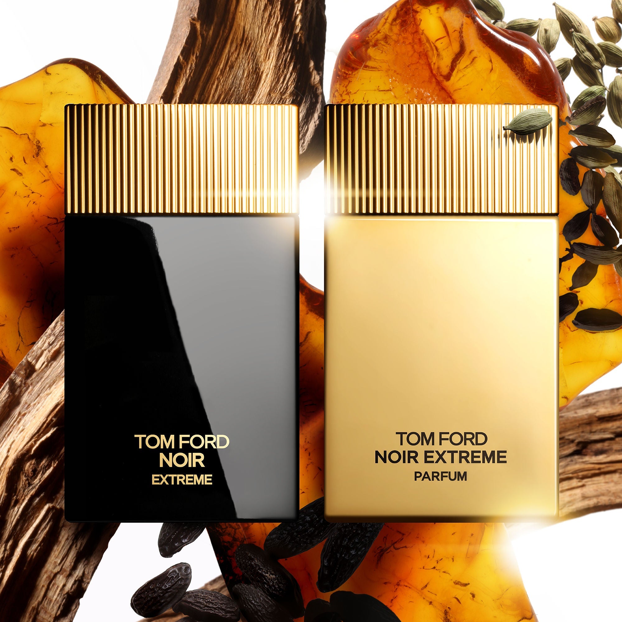 Tom Ford Noir Eau de Parfum For Him