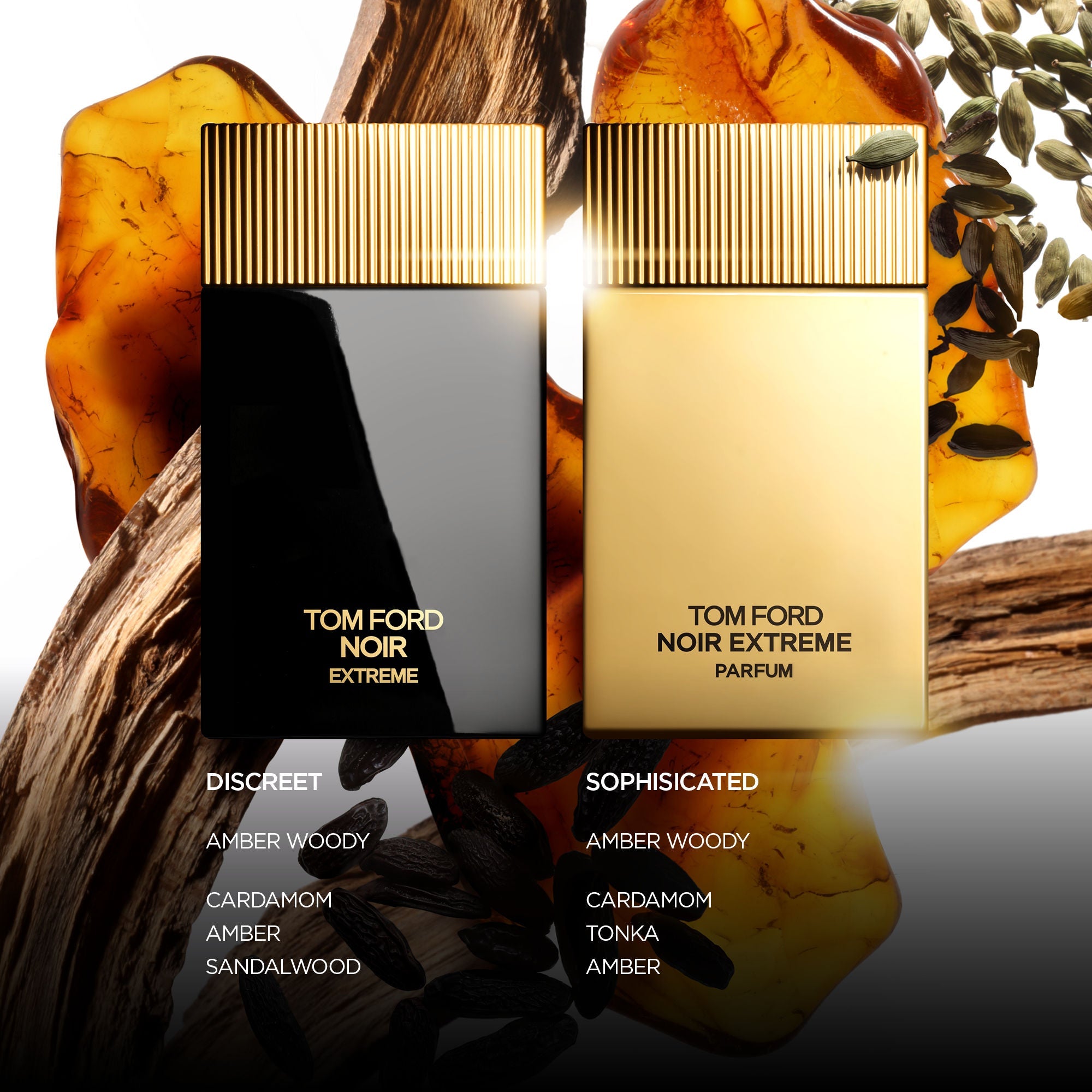 Tom Ford Noir Eau de Parfum For Him