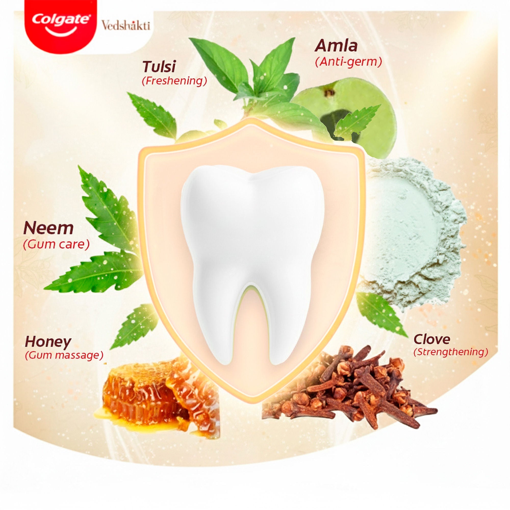 Colgate Vedshakti Toothpaste For Whole Mouth Health