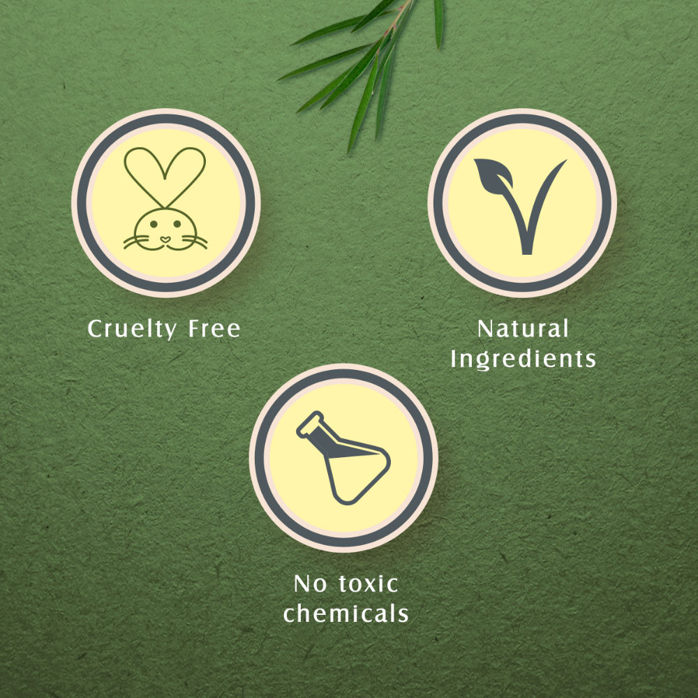 Lotus Herbals Teatreewash Face Wash With TeaTree Oil & Cinnamon And Helps Control Pimples & Acne