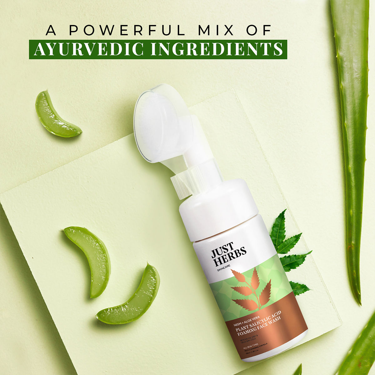 Just Herbs Neem And Aloe Vera Plant Salicylic Acid Foaming Face Wash