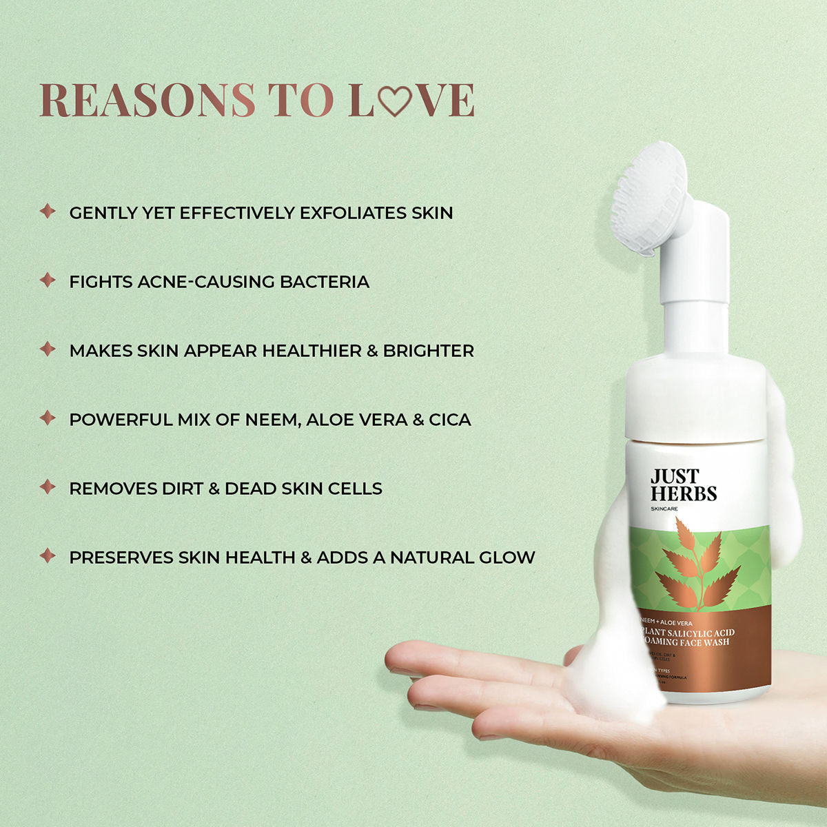 Just Herbs Neem And Aloe Vera Plant Salicylic Acid Foaming Face Wash
