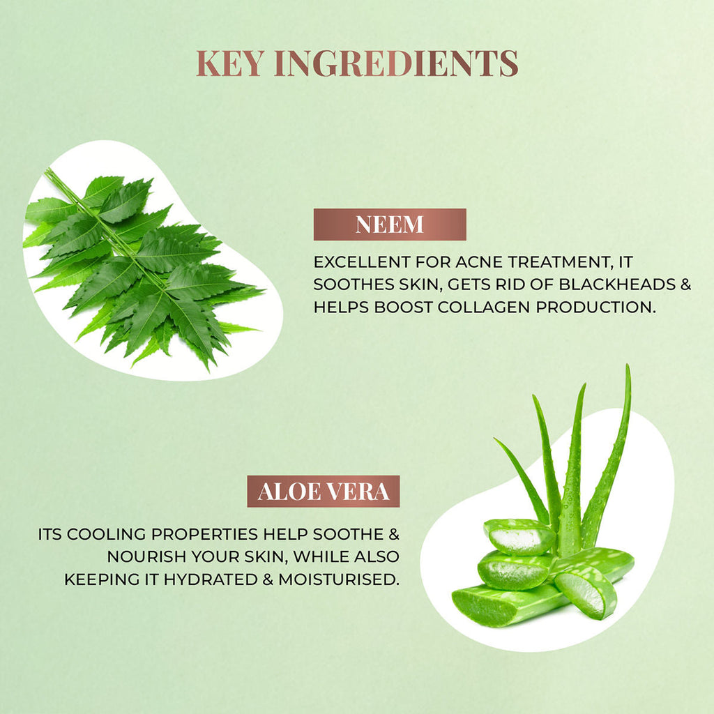 Just Herbs Neem And Aloe Vera Plant Salicylic Acid Foaming Face Wash